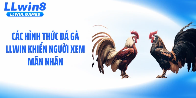 Các hình thức đá gà LLWIN khiến người xem mãn nhãn