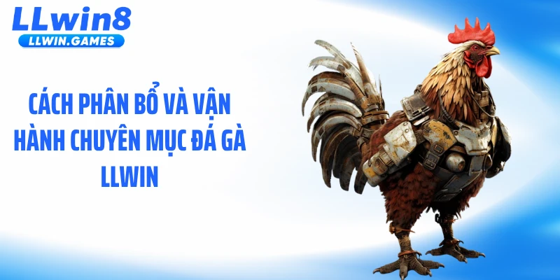 Cách phân bổ và vận hành chuyên mục đá gà LLWIN