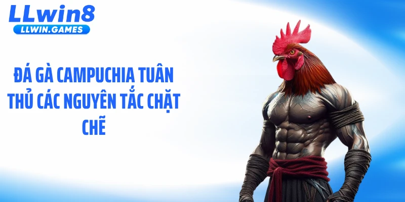 Đá gà Campuchia tuân thủ các nguyên tắc chặt chẽ