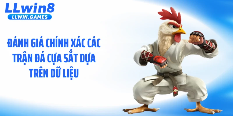 Đánh giá chính xác các trận đá cựa sắt dựa trên dữ liệu