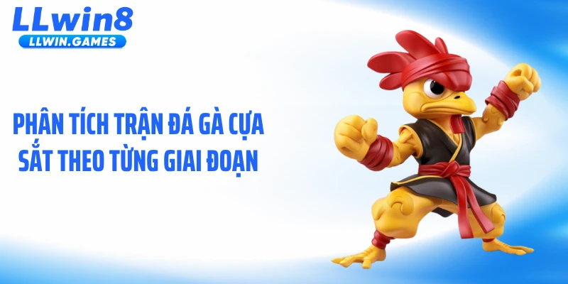 Phân tích trận đá gà cựa sắt theo từng giai đoạn