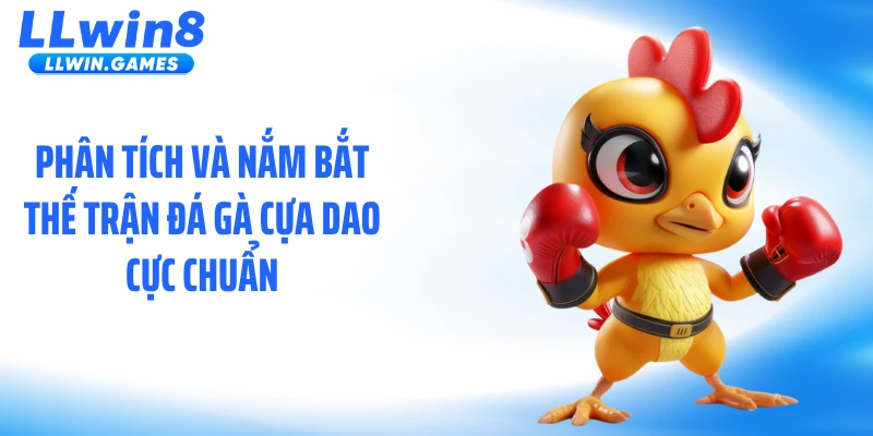 Phân tích và nắm bắt thế trận đá gà cựa dao cực chuẩn