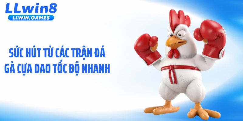 Sức hút từ các trận đá gà cựa dao tốc độ nhanh