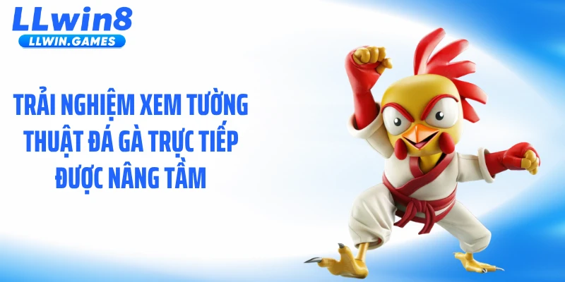 Trải nghiệm xem tường thuật đá gà trực tiếp được nâng tầm